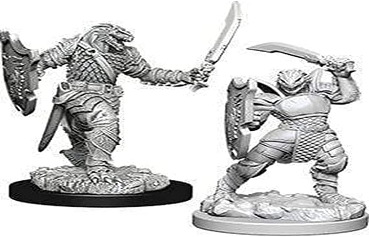 Dungeons & Dragons Nolzur's Marvelous Miniatures Dragonborn Female Paladin